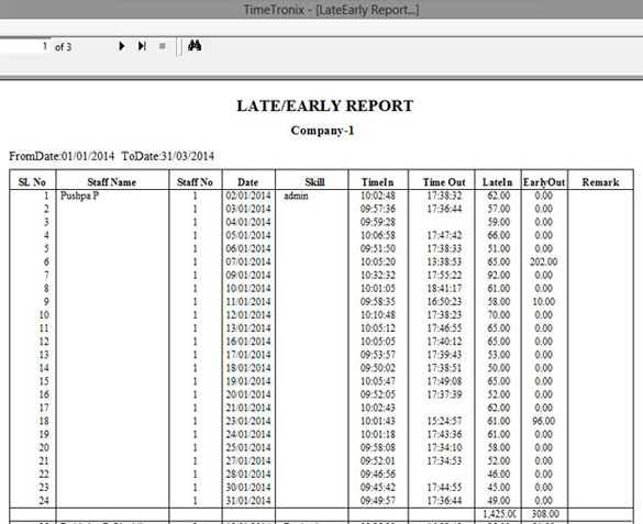 sample time report1